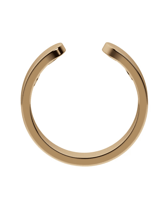 Aurox™ Gesundheitsring Pro 4. Generation